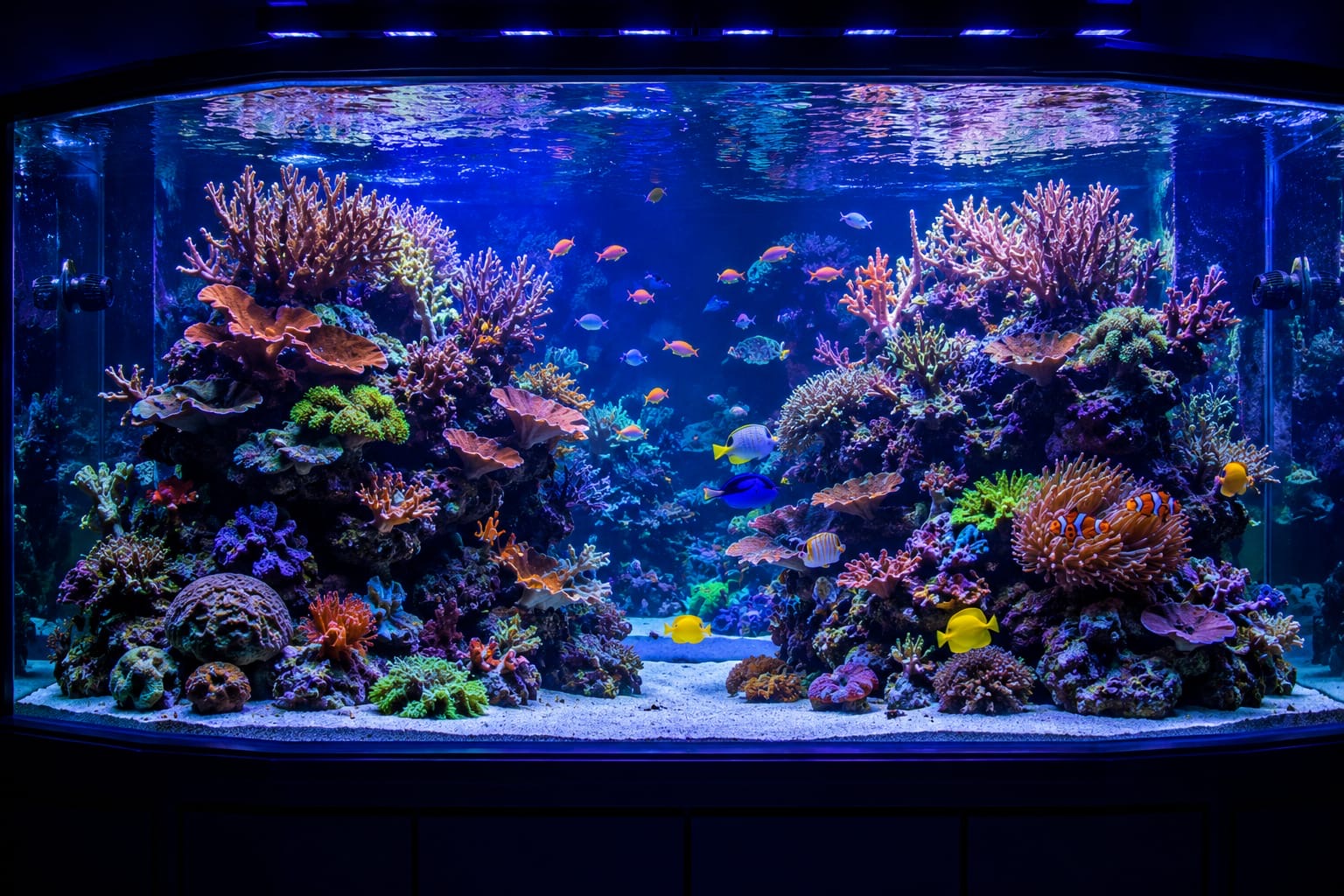 Awesome Image