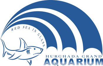 Hurghada Grand Aquarium