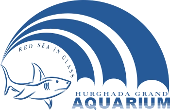 Hurghada Grand Aquarium