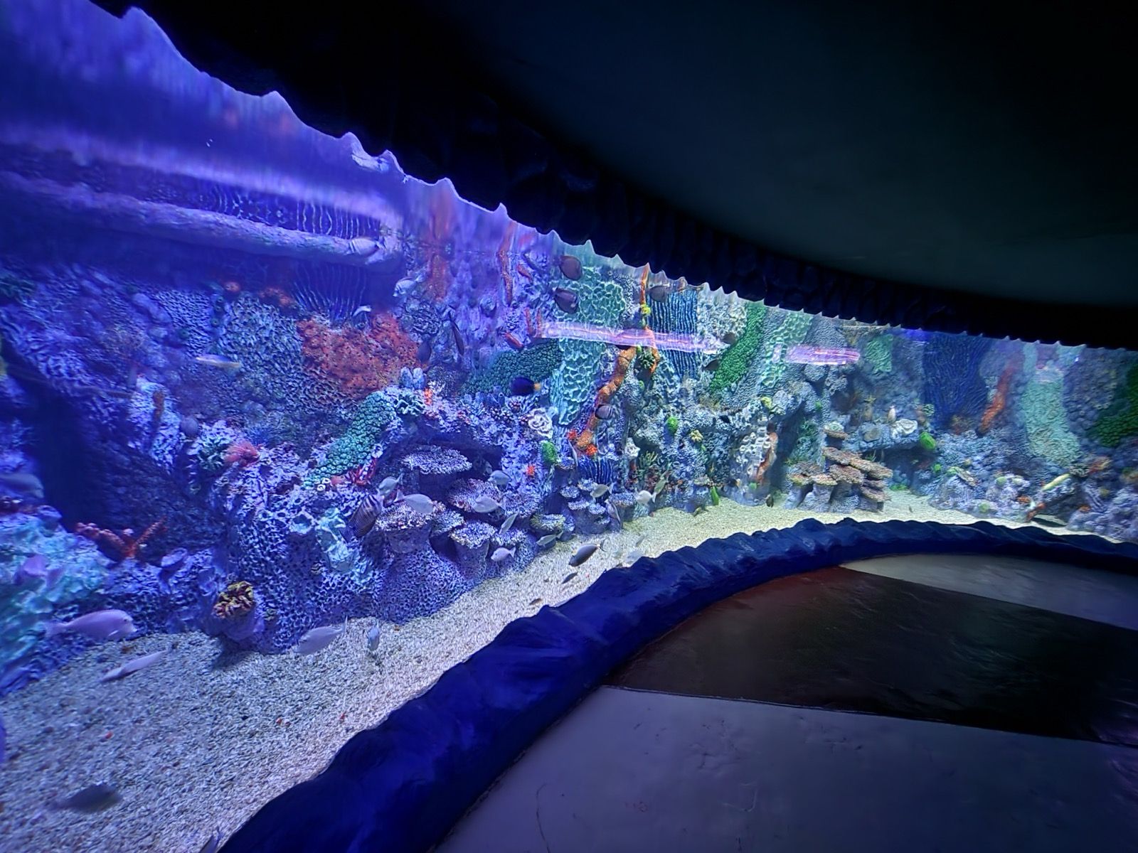 Hurghada Grand Aquarium